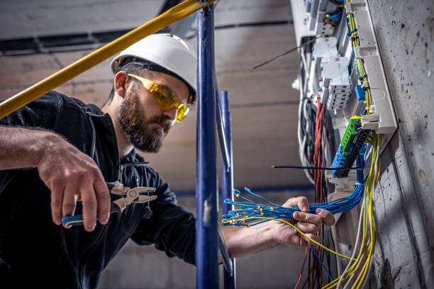 Best Ceiling Fan Installation Electrician  in South Corning, NY