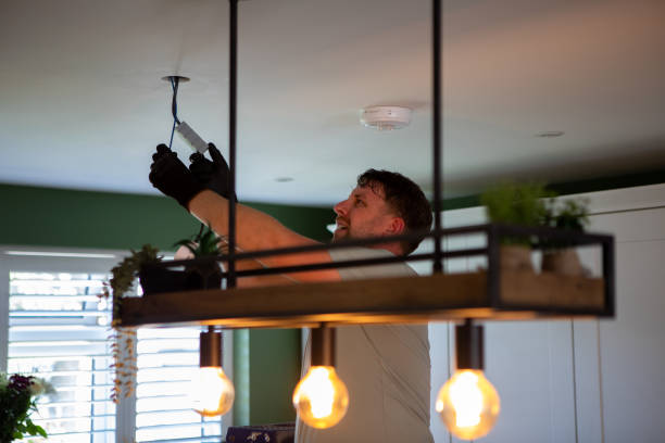 Best Electric Panel Repair  in South Corning, NY